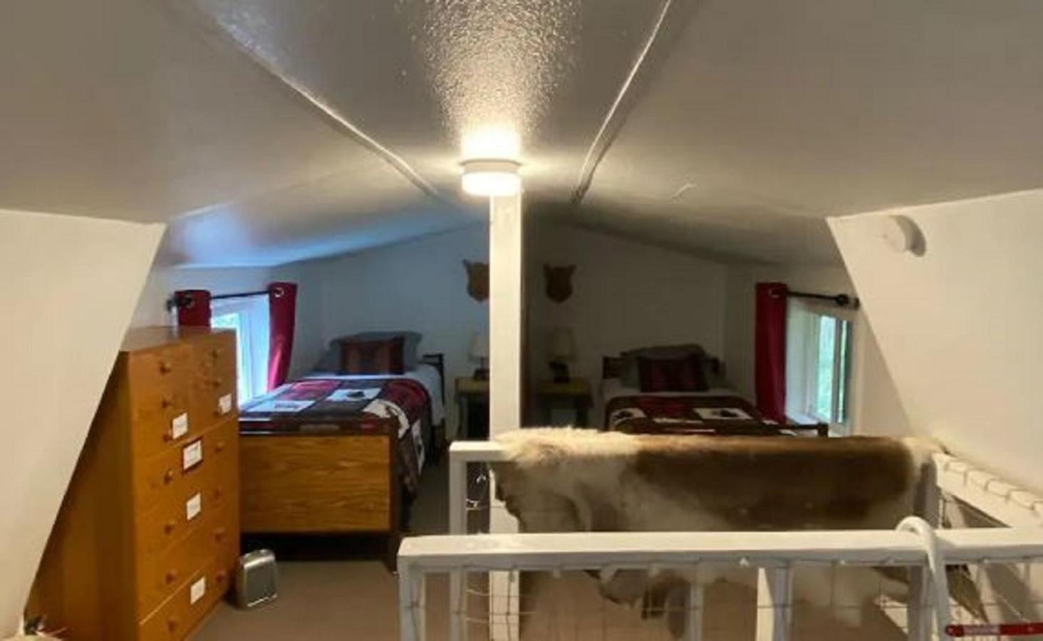 Nauti Otter Inn&Yurt Village Seward Rom bilde